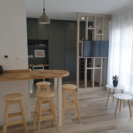 Apartment Cosy - Percy Paris Clamart