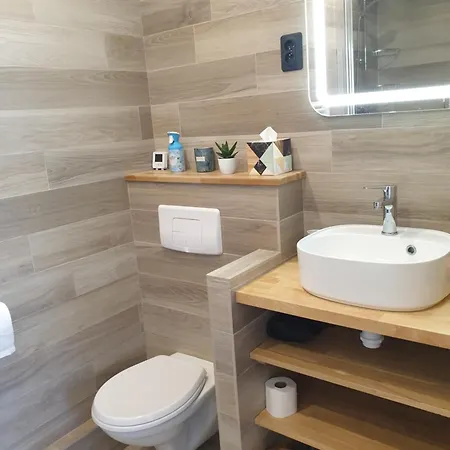 Apartment Cosy - Percy Paris Clamart